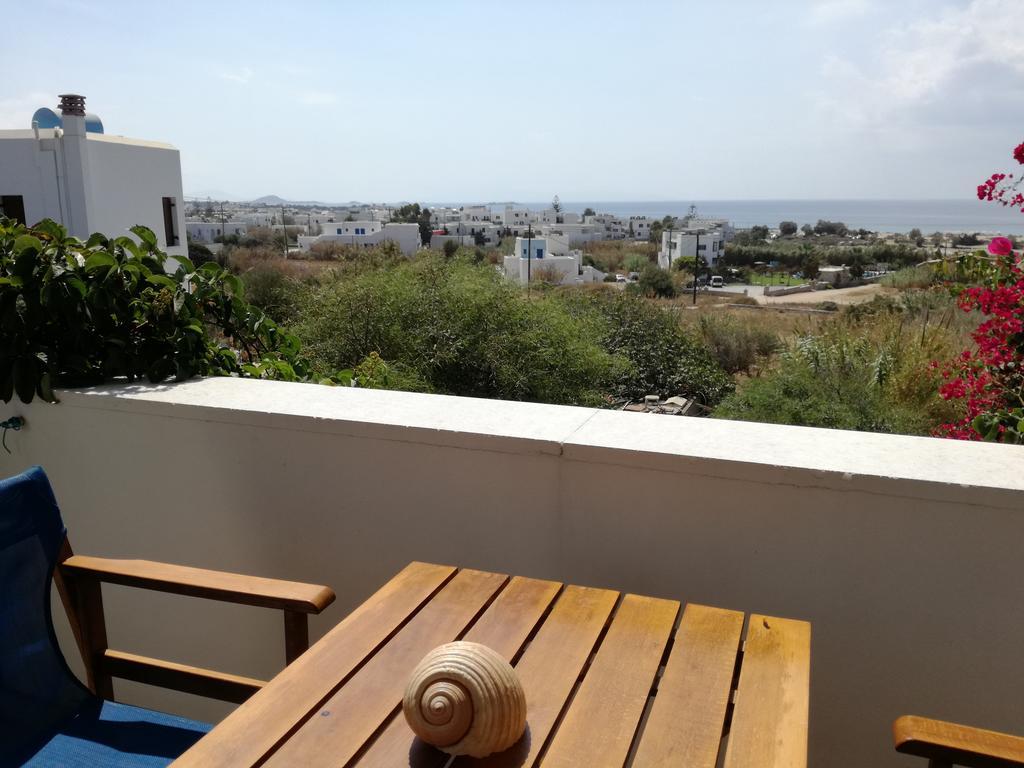 公寓 Dina's Diamond Agios Prokopios (Naxos)